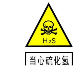 应急管理部有关四川达州”3.3” 硫化氢气...